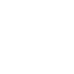 EUSKALGINTZAREN KONTSEILUA